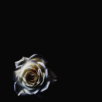 equivocal - kidstrange