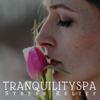 Spiritual Music - Now and Zen Records & Brain Food & Brain Food & Now and Zen Records