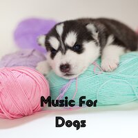Floating on Clouds - Music for Dogs & Music for Dogs Peace & Relaxing Puppy Music & Calm Pets Music Academy