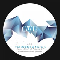 Some Kind of Friend - Tom Budden & Forrest & Copy Paste Soul