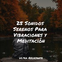 Corrientes Del Zen - Meditacionessa & Hipnose Natureza Sons Coleção & Massagem Guru