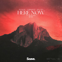 Here Now - Avi Snow & Tamir Regev & Ben Cina & Sean Doe