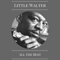 I Had My Fun (Jimmy Oden) - Little Walter