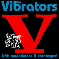 Tight Black Jeans - The Vibrators