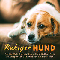 Musik zur Entspannung - Music for Dogs Collective