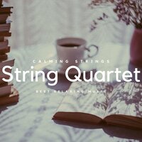 Sea Of Tranquility - Violin Music & Violins & Calming Strings