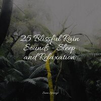 Birds at Sunset - Music to Relax in Free Time & Relaxing Sounds of Nature & Nature Sounds Nature Music