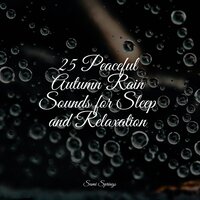 Soothing Small Ocean Waves - Rain Sounds Rain & Baby Relax Music Collection & Unforgettable Paradise SPA Music Academy