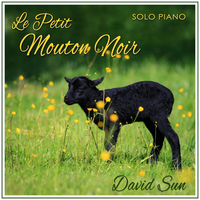 Le Petit Mouton Noir (The Solo Piano of David Sun) - David Sun