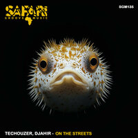 On The Streets - TecHouzer & Djahir Miranda