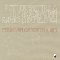 Omnipresent - Petter Wettre & The Norwegian Radio Orchestra