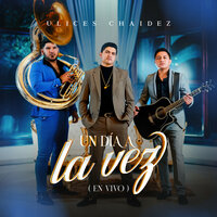 Mi Amor y Mi Necesidad (En Vivo) - Ulices Chaidez