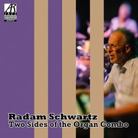 My Guy - Radam Schwartz