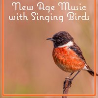 No More Stress (Massage) - Yoga Training Music Sounds