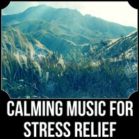 Music Therapy - New Age Anti Stress Universe