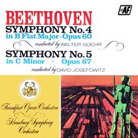 Symphony No. 5 in C Minor, Op. 67: II. Andante con moto - Hamburg Symphony Orchestra & Ludwig van Beethoven