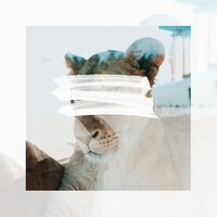 Wild - Gil Sanders & Rhea Raj