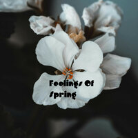 Feelings Of Spring - Elizabeth Howell
