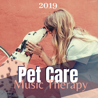 The Best Treatments - Cat Whisper