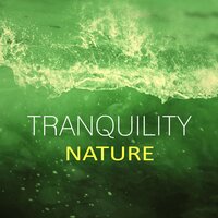 Crystal (Massage and Spa Relaxation) - Hypnosis Nature Sounds Universe