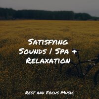 Hypnosis Ballet - Academia de Música para Massagem Relaxamento & Deep Sleep Music Experience & Sleep Sound Library