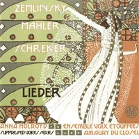 Fünf Gesänge: No. 2, Dies aber kann mein Sehnen nimmer fassen - Amaury du Closel & Anna Holroyd & Camerata de Versailles
