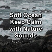 Ocean and River Sounds The Best Water Sounds 10 Hours of Deep Sleep - Beach Sounds & Sea Sounds & Waves