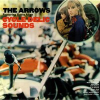 Devil's Angels Theme - Davie Allan