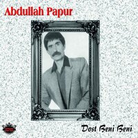 Sığamadık O Köyün İçine - Abdullah Papur
