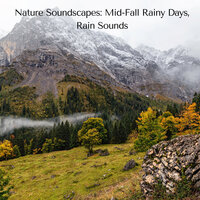 Rain on Window - Sounds of Nature Noise & The Outdoor Library & Rain Sounds & Nature Sounds