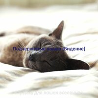 Атмосфера (Котята) - Музыка для кошек вселенная
