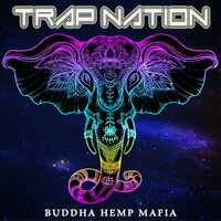 Mercy - Trap Nation (US)