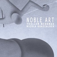 Down Twice - Thollem McDonas & Nicola Guazzaloca