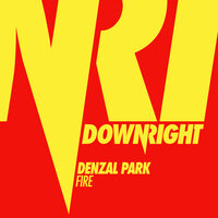 Fire - Denzal Park