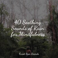 Forest Ambience, Strong Wind, Rain - It's Raining & Deep Relaxation Meditation Academy & Rain Sound Studio