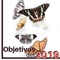Siente la Paz - Emociones Positivas Maestro