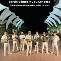 El Pajaro Cenzontle / Armida / Julia - Bertín Gómez Jr. y Su Condesa