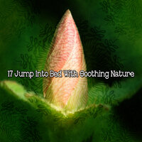 на лугах - Sounds Of Nature Relaxation