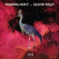 Odyssey IV - Mushrooms Project