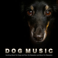 Serene Music for My Dog - Dog Music & Calming Music For Pets & Sleeping Music For Dogs