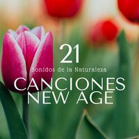 Mantener la Calma - Aliento Luz