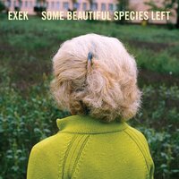 Unetiquetted - Exek