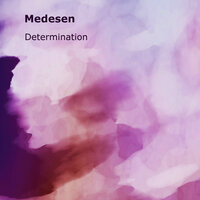 Determination - Medesen
