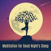 Dreaming about Night Crickets - Mindfulness Meditation Universe