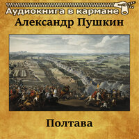 Полтава, Чт. 6 - Аудиокнига в кармане & Николай Симонов