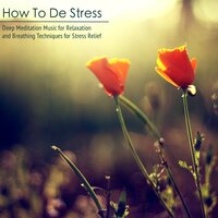 Slow Life (Oriental Flute Music) - No Stress Ensemble