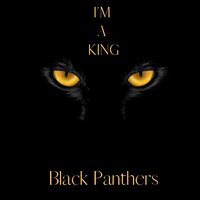 Haters - I'M A KING