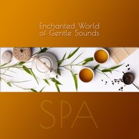 Holistic Treatments - Spa Massage Solution