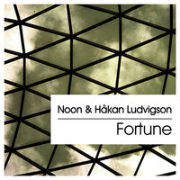Platina - Noon & Hakan Ludvigson