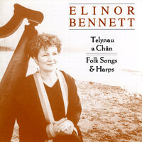 Syr Harri Ddu - Elinor Bennett